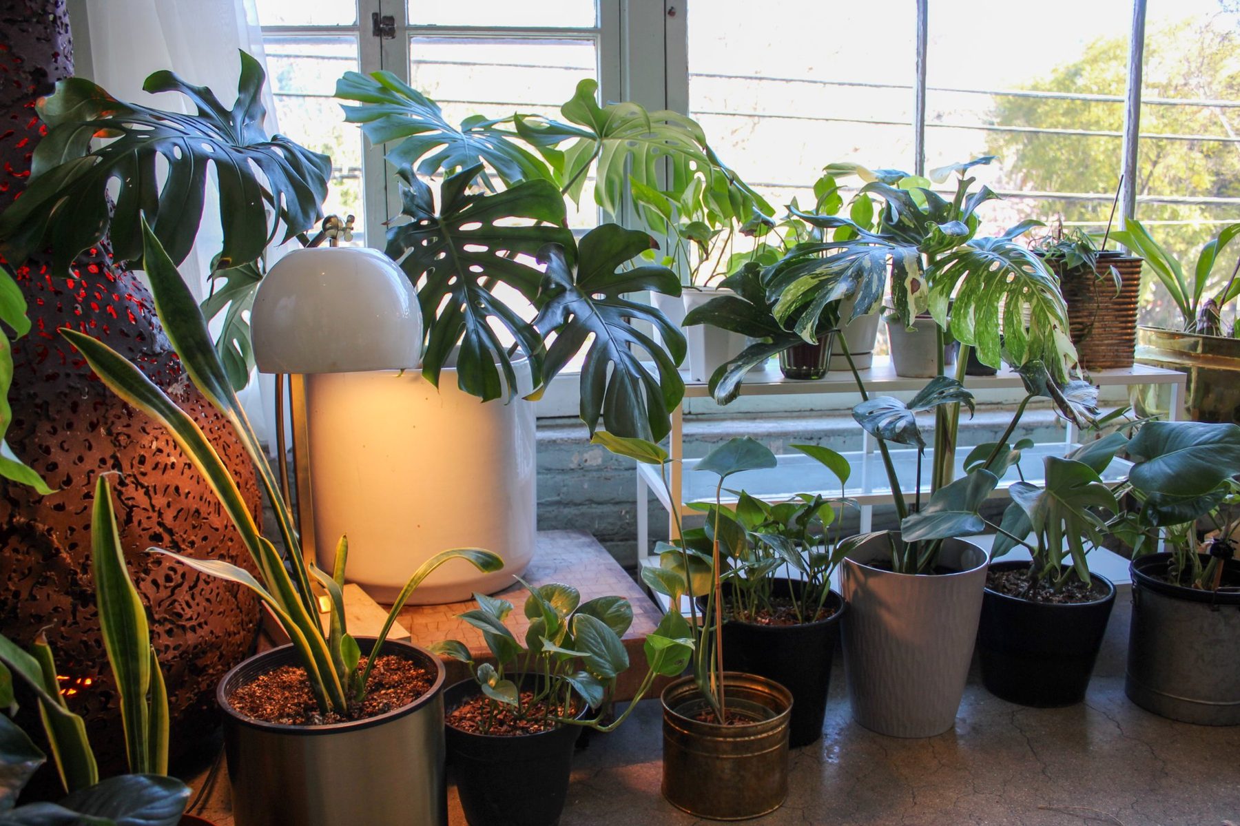 LINT Production House